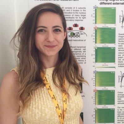 KizilirmakCise's profile picture. PostDoc @helsinkiuni | Member of the @KatajistoLab | Cell-to-cell communication, Microscopy 🔬