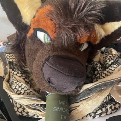 23,Army, pro 2A shep that enjoys going to the range too much. overly obsessed with kalashnikovs. certified hooligan.🚫DMs open uwu
