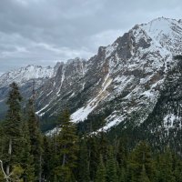 MSJ (@jmseattleroofs) 's Twitter Profile