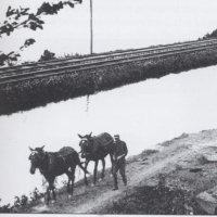 Delaware & Raritan Canal Commission (@drcanalcomm) 's Twitter Profile