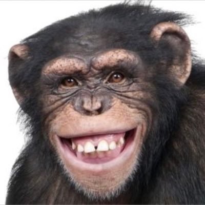 et9s9's profile picture. なんかしてる