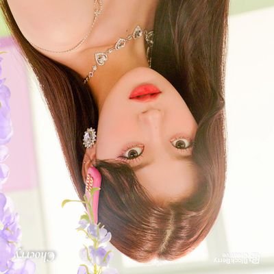 To_choerry Profile Picture