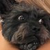 jessy (@jessyreneeh) Twitter profile photo jessy (@jessyreneeh) Twitter profile photo