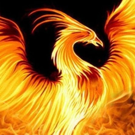 Varo_XT's profile picture. I'm failed