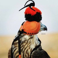 احمد المعاضيد      33𝑨𝒍𝒎𝒂𝒂𝒅𝒆𝒆𝒅 (@33almaadeed) 's Twitter Profile Photo