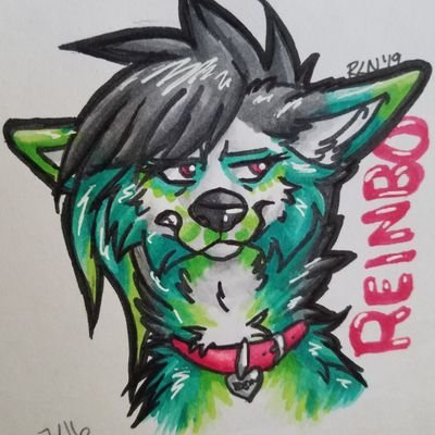 My name's Ronnie, aka Reinbo! I'm a 29 year-old furry in the state of Colorado. I'm an artist, gamer, and a fandom follower. Thanks for looking at my page! ♥