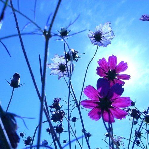 wdnmm's profile picture. 