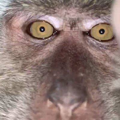 Doppel_A1's profile picture. 