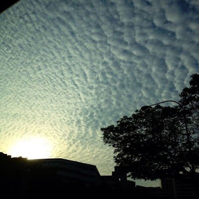 ChunmingLoo's profile picture. 