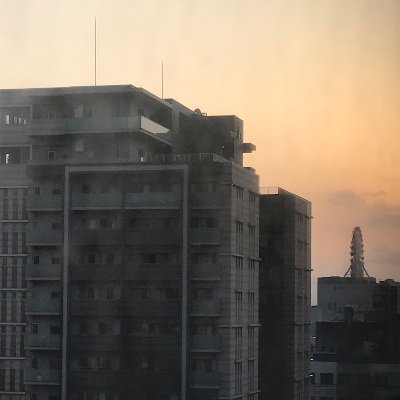 何かを探している、きっと何かは大きいらしい、ゾーンLじゃないと入らない、欲しい方は画像おくるかも? 妊活手伝いますDMください