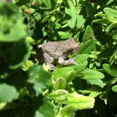 Tristan69895098's profile picture. 