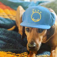 uhoh (@uhoh) 's Twitter Profile