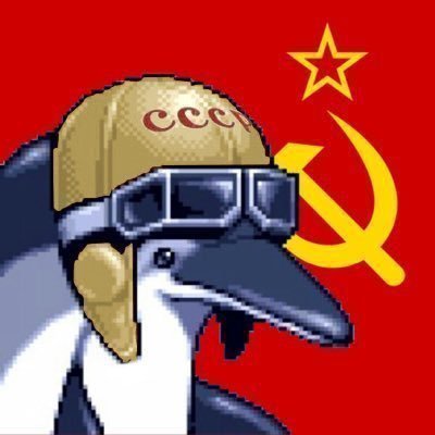 Dolphin Pilotさんのプロフィール画像
