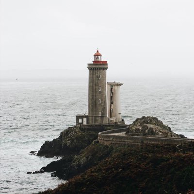 goyaheideman's profile picture. I don’t know