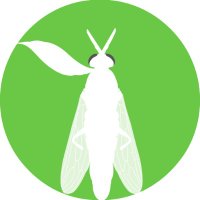 InsectaBio (@insectabio) 's Twitter Profile Photo InsectaBio (@insectabio) 's Twitter Profile Photo