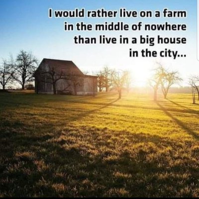 Ricky82179729's profile picture. Country boy  that love diesel