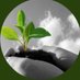 المزارع الكويتي (@q8farmers) Twitter profile photo المزارع الكويتي (@q8farmers) Twitter profile photo
