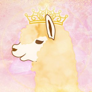 @alpacca_queen