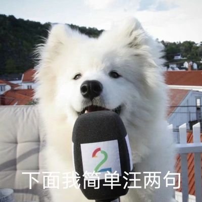 qingyeyuji's profile picture. 20↑⎮只會中文所以會使用翻譯器，日語能看懂一點點⎮無言關注抱歉！不用回fo完全ok⎮低浮上偶爾想起會堆圖⎮禁止ai學習
