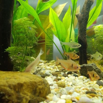 Pablo84645921's profile picture. 