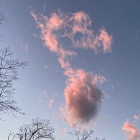 しのぷぅ🌊🏍️🕺🕺🐎🔥 (@2txnt) 's Twitter Profile Photo しのぷぅ🌊🏍️🕺🕺🐎🔥 (@2txnt) 's Twitter Profile Photo