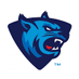 Rust college Basketball (@rustmbb) Twitter profile photo
