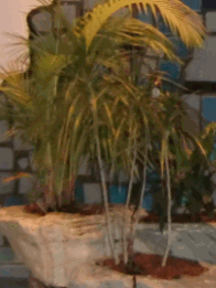 Geschenk2011's profile picture. Geschenke machen -- Geschenke bekommen -- Geld verdienen und Geld sparen