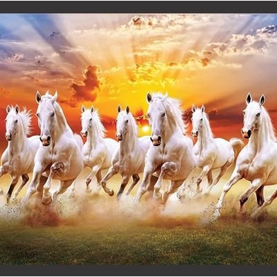 KOptionTrader's profile picture. Stock Market is life
