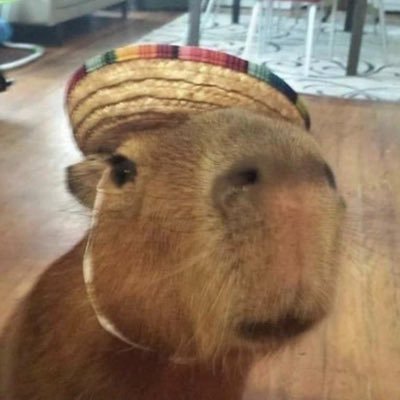 Totallybella_'s profile picture. Im bella a 18 year old. 
Colombian 
UwU