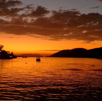 maxsouza1211's profile picture. .