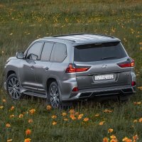 سہمہو آلآمہير (@mmedo4355) 's Twitter Profile