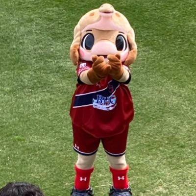akiaki_m_akiaki's profile picture. いわきFCが大好き ホームはもちろん アウェイもなるべく行っちゃいます！