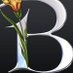 Sdt_Saad Almalk (@sdt99023369) Twitter profile photo Sdt_Saad Almalk (@sdt99023369) Twitter profile photo