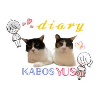 ๐พ ๐๐๐๏ผโ๐ธ๐น๐๐๐ญ๐ฒ๐ช๐ป๐ ๐พ๐พใใใใใผๆฅ่จใ๐พ (@kaiyouxxx) 's Twitter Profile