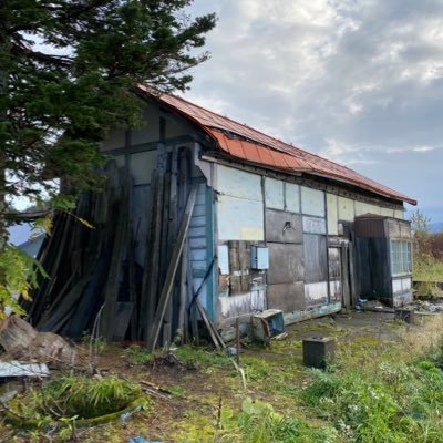 4KYjeBygDD2Mf9c's profile picture. モルモット4匹といきてます