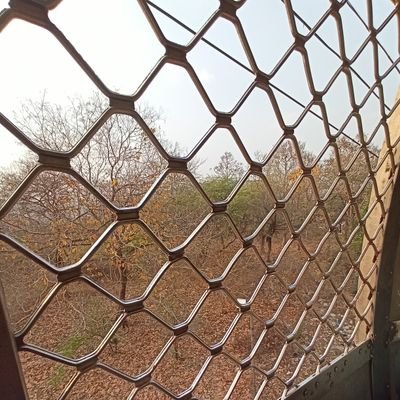 mayank_nirmal's profile picture. 