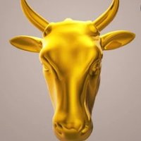 Yield.Trail (@yieldtrail0x) 's Twitter Profile