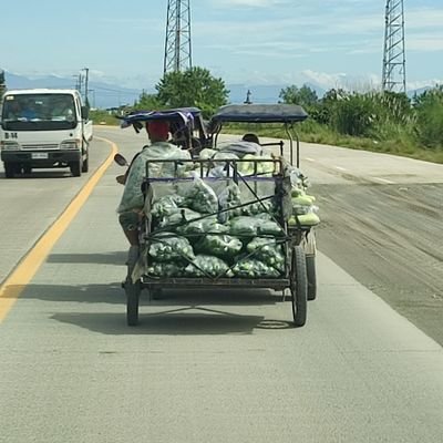 idoltancioco's profile picture. 