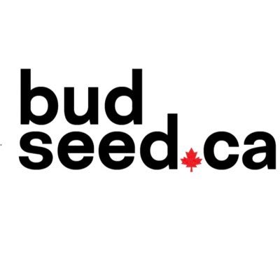 100% Canadian Cannabis Seeds
Free Shipping on ALL Orders!
High Quality Cannabis Seeds at unbeatable prices!