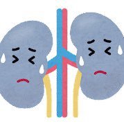 sickly_anpan's profile picture. 指定難病で生活が激変した20代エンジニア👨💻闘病生活2年目。時々処理しきれなかった毒が漏れます、腎臓病だから仕方ないね笑 #ネフローゼ #巣状糸球体硬化症 #プレドニン (16mg)