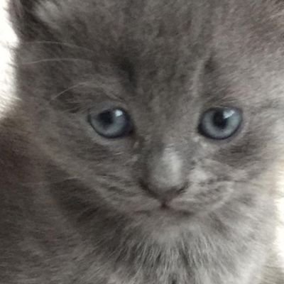 Jong17De's profile picture. 🚜 💯  🇳🇱 😁👊➡️ Nexit 🔥 ➡️ Trump Q