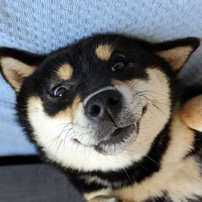 cawley_paul's profile picture. Holds the ability to quote the Simpsons/ family guy or Futurama to fit any of life's situation