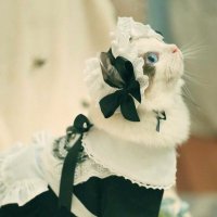 まお (@marma_o0) 's Twitter Profile