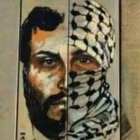 Palestinian Basij(@moshishlomo313) 's Twitter Profile Photo