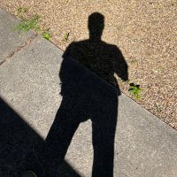 Daniel S (@daniellionl) 's Twitter Profile