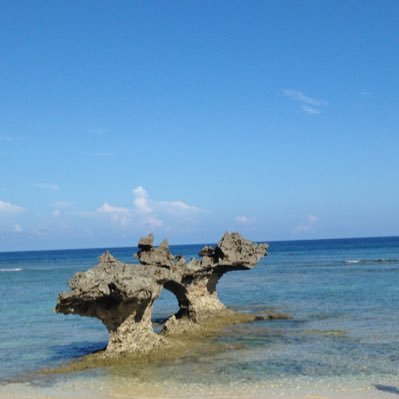 vakzmc's profile picture. 