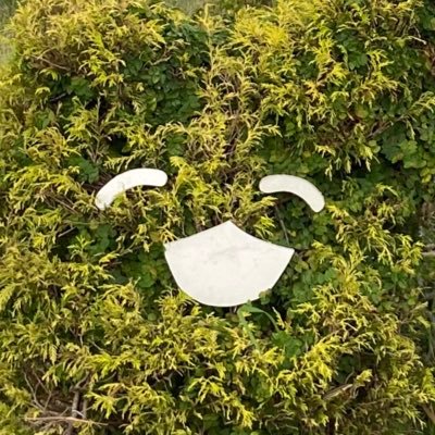 森のコロッケ太郎さんのプロフィール画像