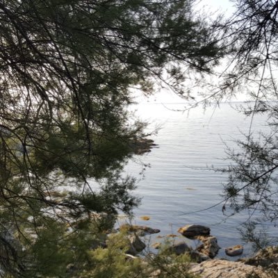 Karmapauicalma's profile picture. @Karma