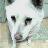 tosoonlover's profile image