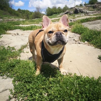 Аз те обичам не заради това което си ти, а заради това, което съм аз, когато съм с теб.